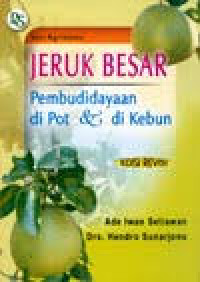 Image of JERUK BESAR Pembudidayaan di pot& di kebun